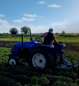 Agriculture