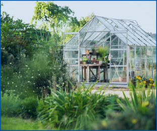 Plant-care-in-greenhouses-and-open-fields