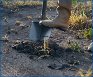 Agricultural-land-maintenance-services