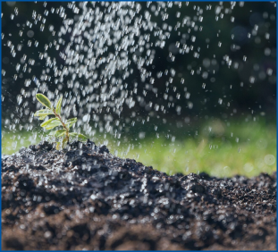 Inspection-and-repair-of-drip-irrigation-systems
